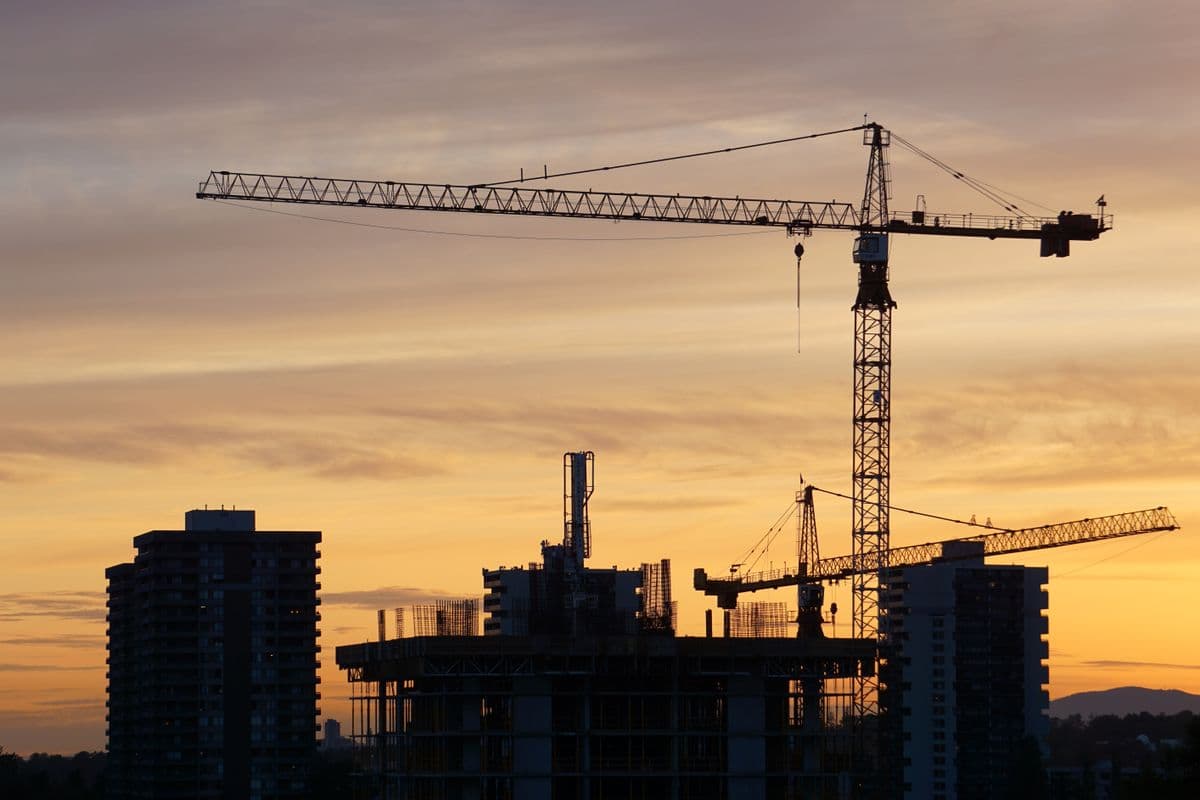 Cranes